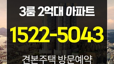 인천 유림노르웨이숲 회사보유분 공급정보